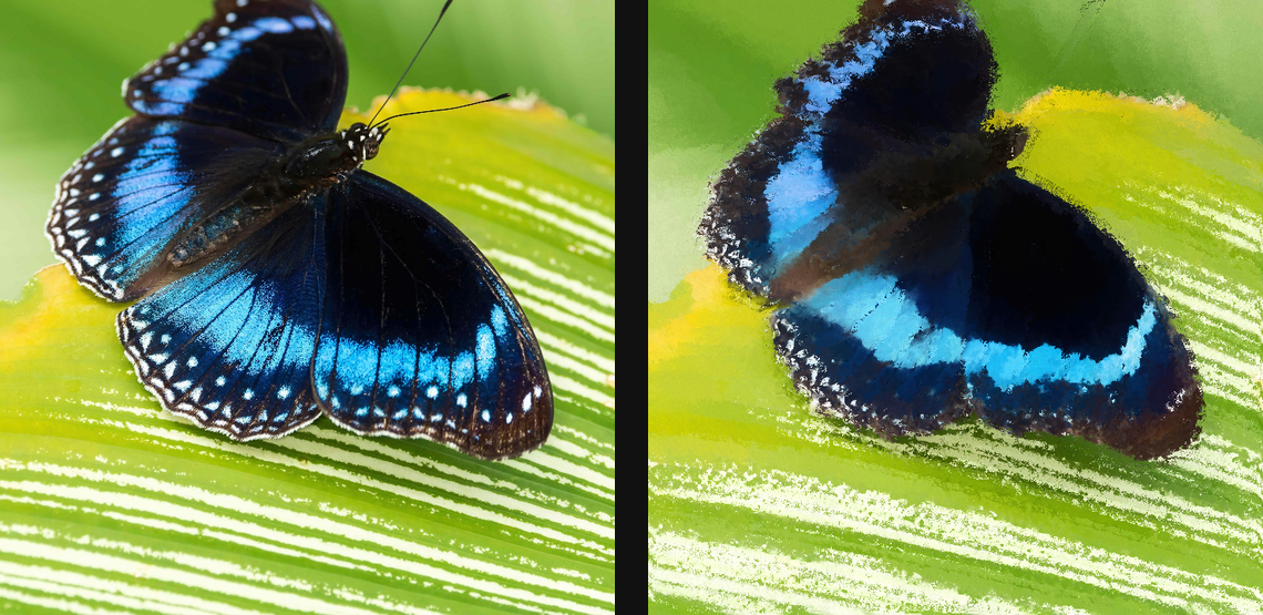 Oil Painter: source left and current native result right