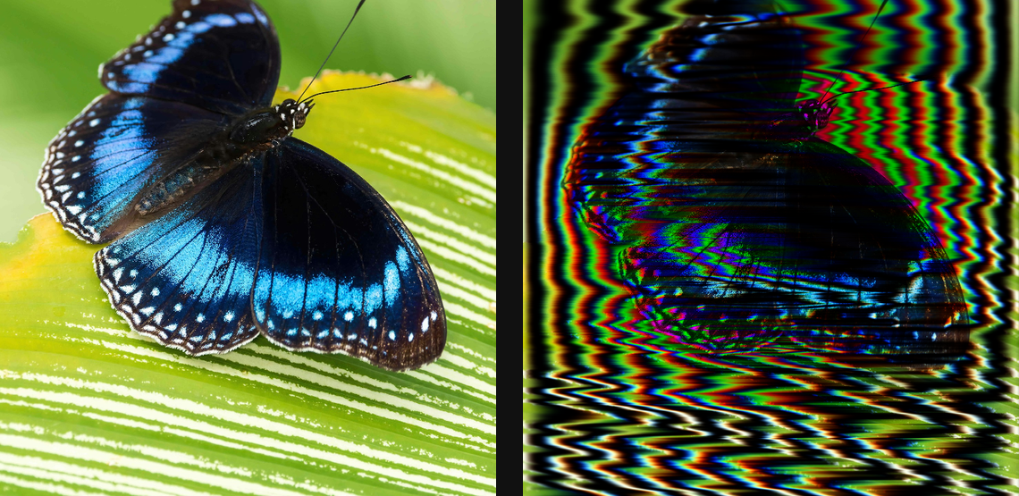 Scanline Refraction: source left and current native result right