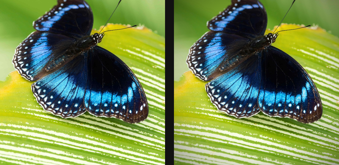 Vignette: source left and current native result right