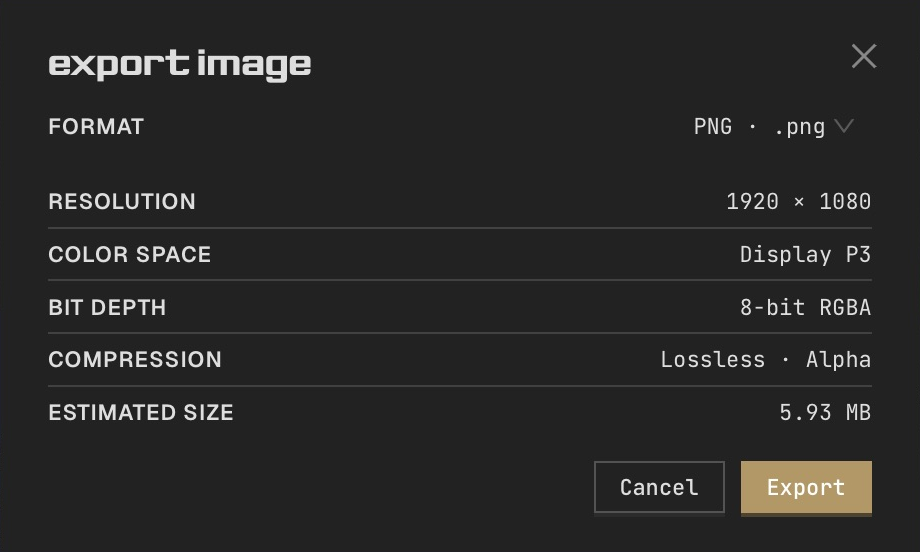 Still-image export format and image details